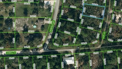 Lake Grassy Lot For Sale in Lake Placid Florida