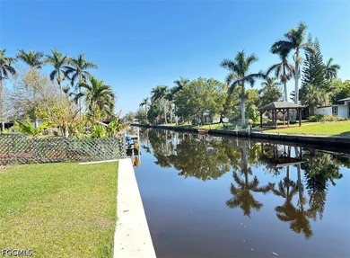 Bring your boat, dock it at your own home with navigable canal - photo 5