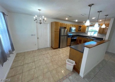 Bring your boat, dock it at your own home with navigable canal - photo 7