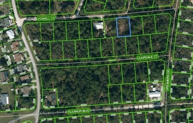 Lake Grassy Lot For Sale in Lake Placid Florida