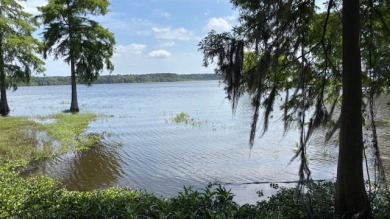 Lake Home For Sale in Hemphill, Texas