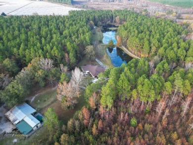 Lake Home For Sale in Ailey, Georgia