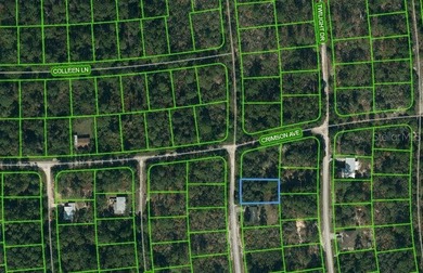 Lake Grassy Lot For Sale in Lake Placid Florida