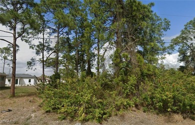 Lehigh Acres Area Lot Sale Pending in Lehigh Acres Florida