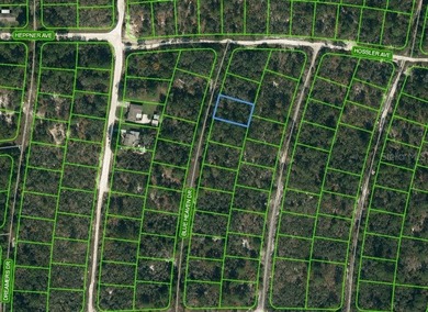 Lake Grassy Lot For Sale in Lake Placid Florida