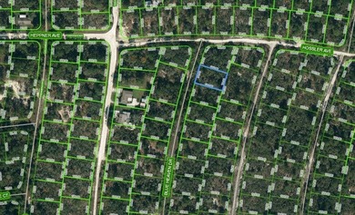 Lake Grassy Lot For Sale in Lake Placid Florida