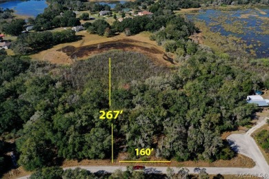 Tsala Apopka Chain of Lakes Lot For Sale in Inverness Florida