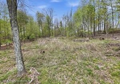 VACANT LAND WITH SUMMIT LAKE VIEWS! Build your dream home in a - photo 12
