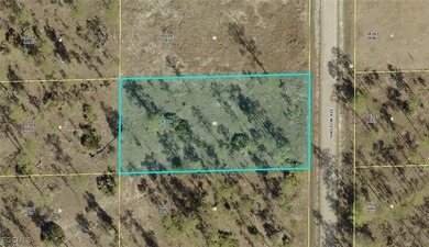 Lehigh Acres Area Lot For Sale in Lehigh Acres Florida