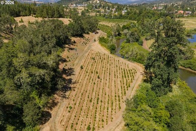Exceptional 42+/- acre luxury estate featuring a custom - photo 47