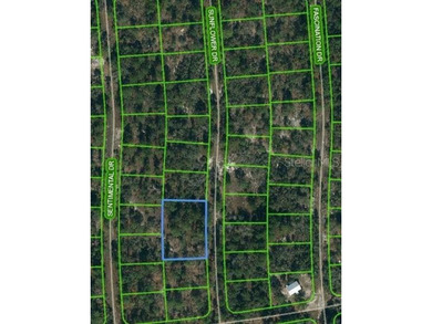 Lake Grassy Lot For Sale in Lake Placid Florida