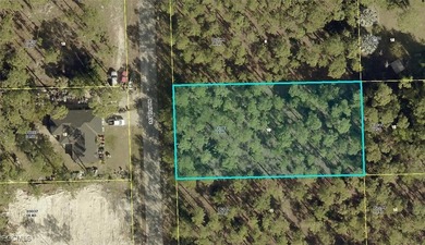 Lehigh Acres Area Lot For Sale in Lehigh Acres Florida