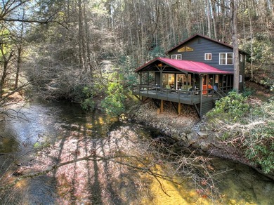 (private lake, pond, coastal) Home For Sale in Blue Ridge Georgia