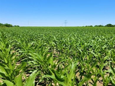 (private lake, pond, creek) Acreage For Sale in Troy Texas