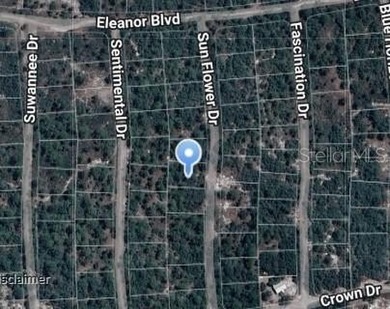 Lake Grassy Lot For Sale in Lake Placid Florida