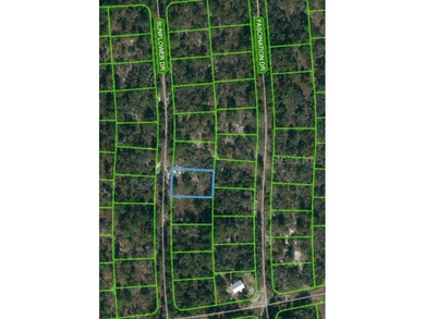 Lake Grassy Lot For Sale in Lake Placid Florida