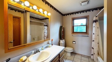 Furnished Lake Vermilion Beachhouse. Level 1.4 Acres W/150ft - photo 18