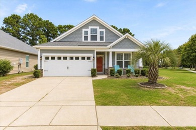 One of the few James Island homes with a private pool, and this - photo 9