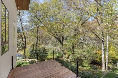 This newly constructed home redefines luxury mountain living - photo 26