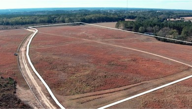 (private lake, pond, coastal) Acreage For Sale in Aiken South Carolina