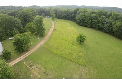 Tennessee River - Decatur County Lot For Sale in Decaturville Tennessee