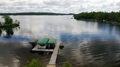 Furnished Lake Vermilion Beachhouse. Level 1.4 Acres W/150ft - photo 39