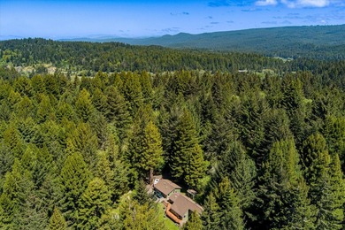 Perched among the trees on 3.24 private acres, this inviting - photo 48