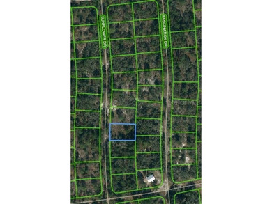 Lake Grassy Lot For Sale in Lake Placid Florida