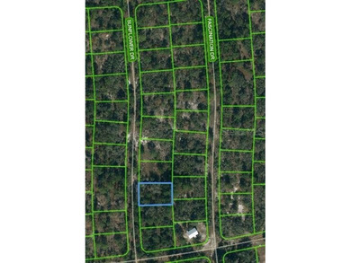 Lake Grassy Lot For Sale in Lake Placid Florida