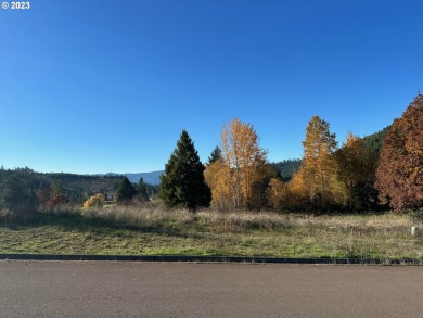 Lake Lot For Sale in Oakridge, Oregon