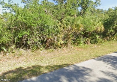 Build your Florida dream home on this desirable vacant lot - photo 1