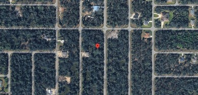 Build your Florida dream home on this desirable vacant lot - photo 2