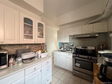 Discover this sun-filled, south exposure oversized renovated - photo 10