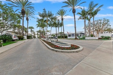 58 Beach - photo 41