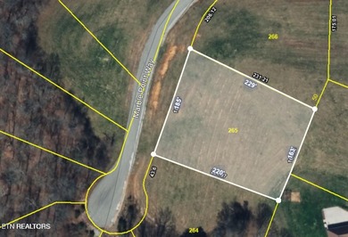 Lake Lot For Sale in New Tazewell, Tennessee