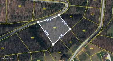 Norris Lake Acreage For Sale in New Tazewell Tennessee