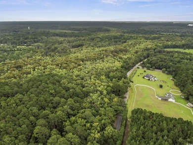 Discover a rare opportunity in Belleflower Plantation-now - photo 3