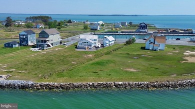 Enjoy waterfront living in this updated 4 bedroom, 2 bath - photo 15