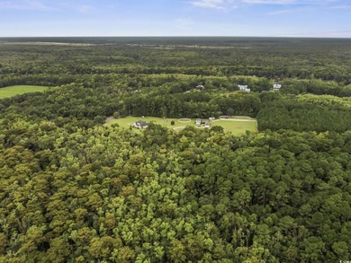 Discover a rare opportunity in Belleflower Plantation-now - photo 6