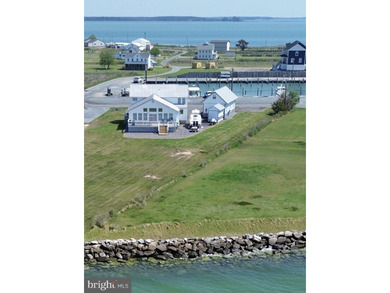 Enjoy waterfront living in this updated 4 bedroom, 2 bath - photo 19