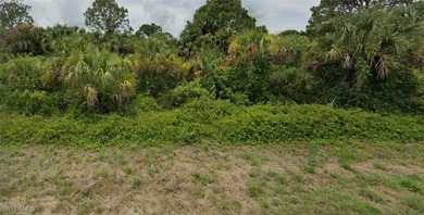 Lehigh Acres Area Lot Sale Pending in Lehigh Acres Florida