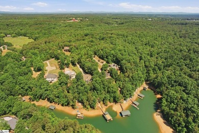 Experience luxury lake living on Lake Hartwell! This beautifully - photo 42