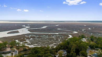 Capturing the true essence of Lowcountry living on Skidaway - photo 42