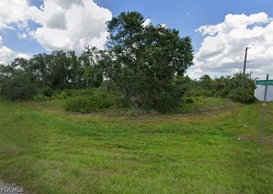Build your Florida dream home on this desirable vacant lot - photo 1