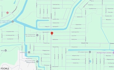 Build your Florida dream home on this desirable vacant lot - photo 2
