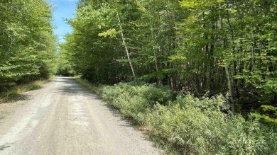 Lake Condo For Sale in South Brookfield,