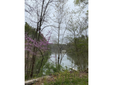 Watauga Lake Lot For Sale in Bulter Tennessee