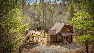 (private lake, pond, coastal) Home For Sale in Mccaysville Georgia