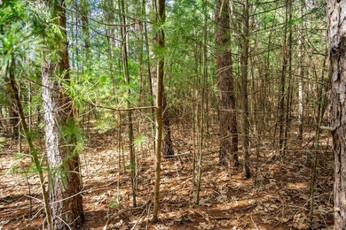 Build Your Dream Home or Getaway Near Castle Rock Lake! Discover - photo 7
