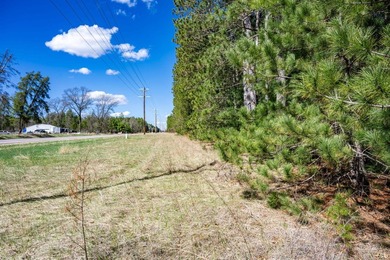 Build Your Dream Home or Getaway Near Castle Rock Lake! Discover - photo 8